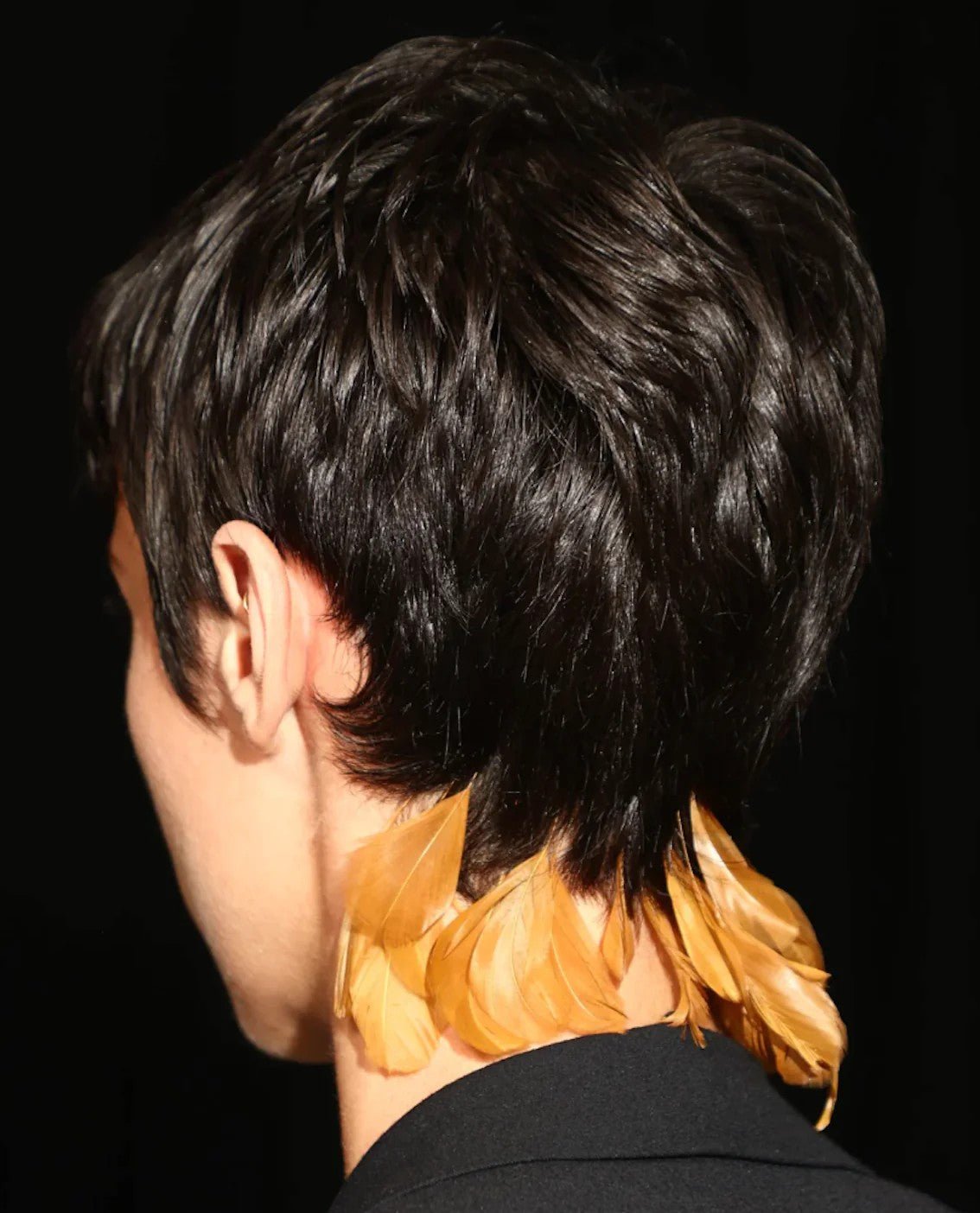 FEATHER FEVER WITH DRIES VAN NOTEN